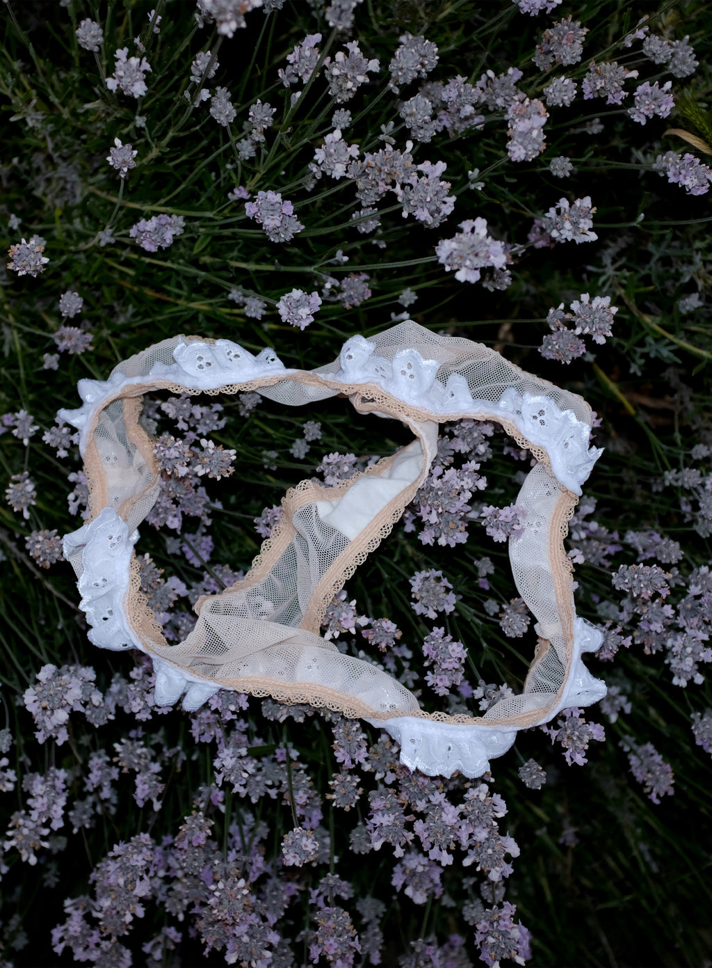 Dulcie thong