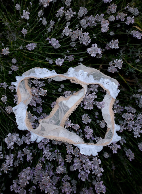 Dulcie thong