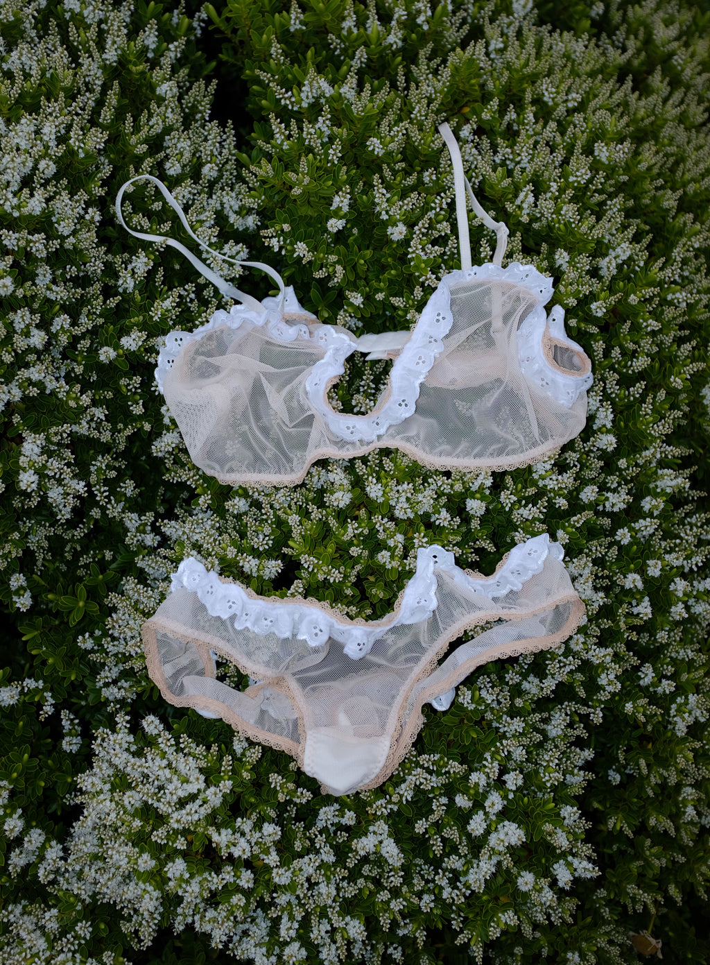 Dulcie set