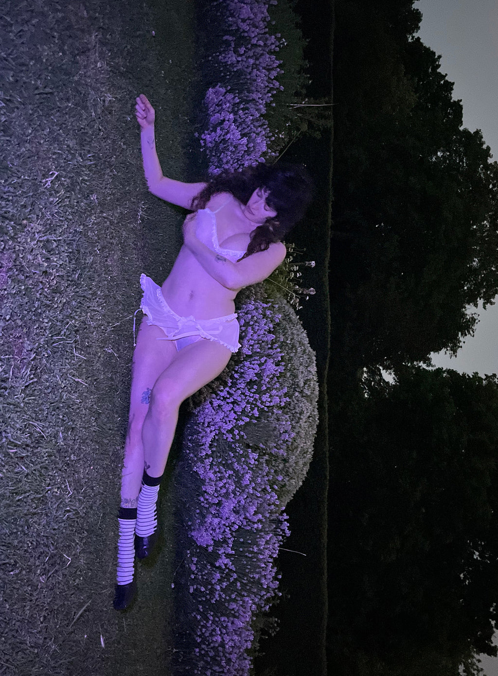 Dulcie set