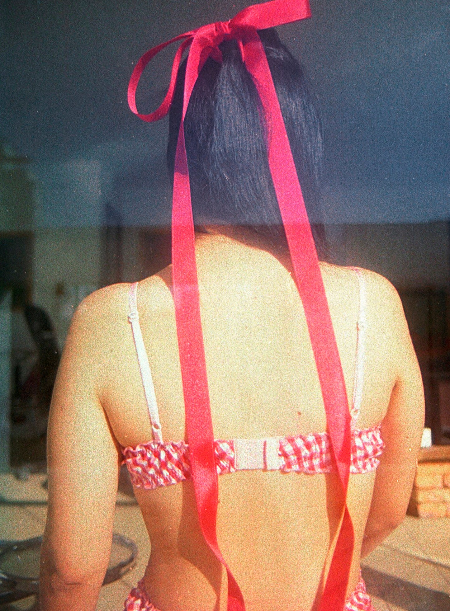 Red gingham bra